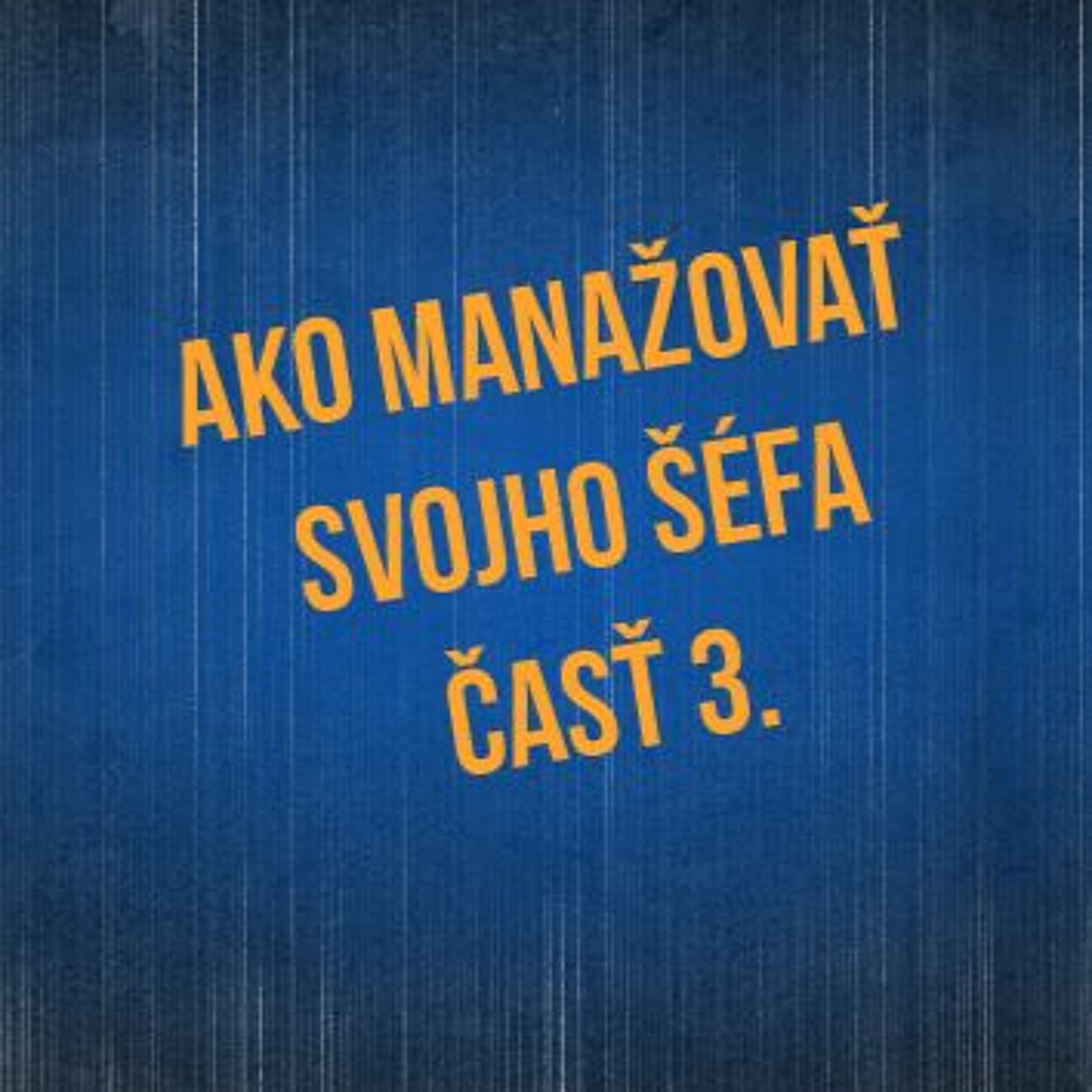 Sprievodca Manažéra