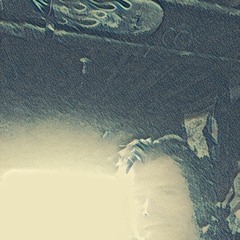 Spider Crawls No More