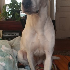 Live at Stimulus Progression 8 with Ian Douglas-Moore