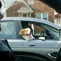 Bad and FIFA (Didi Han Mash-Up)