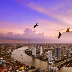 P A N O R A M A @Distil Bar - June 2018 BKK