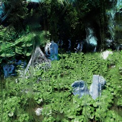 PREMIERE: Munguugnum - Artificial Forest (Eco Futurism Corporation)