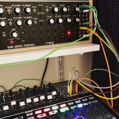 Moog DFAM only