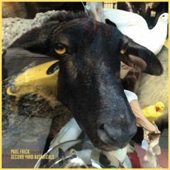 Paul Frick - Karamasow