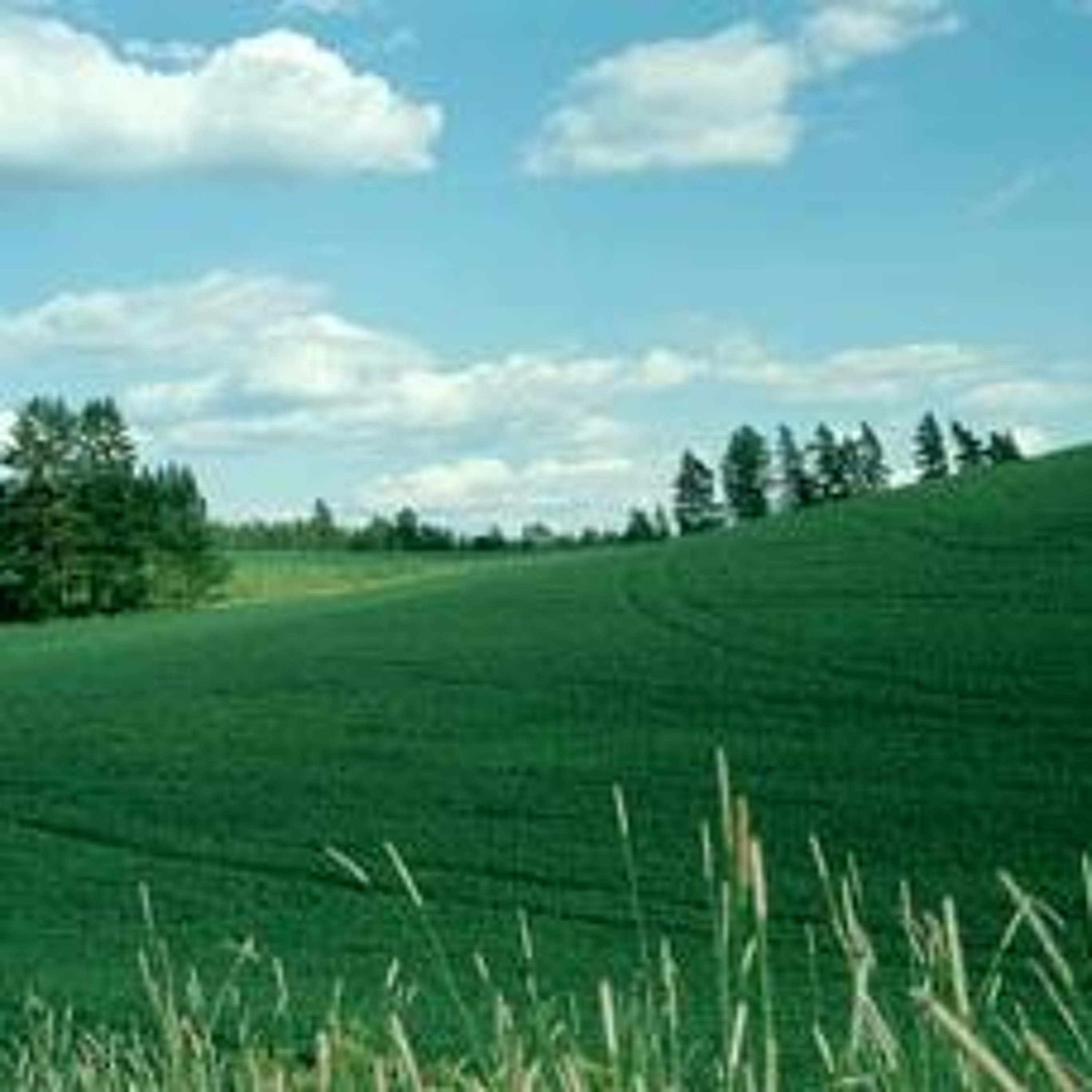 Maaltavastaajat