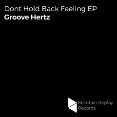 Audio Hertz Groove Tube