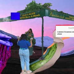 VGN FRST Abandoned Elements Mix