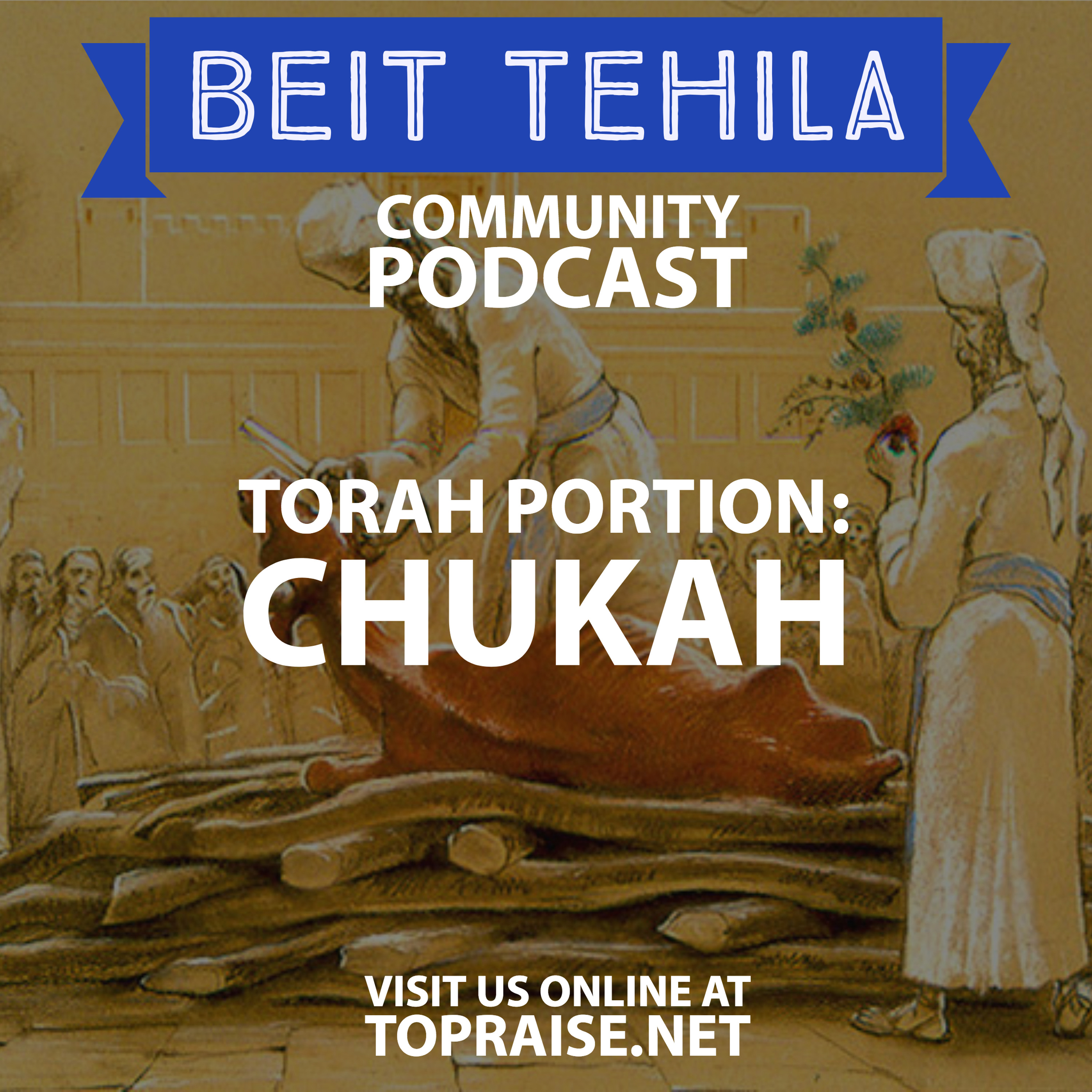 Ep. 45 - Torah Portion: Chukah - Pastor Nick Plummer and Ryan Cabrera episode artwork