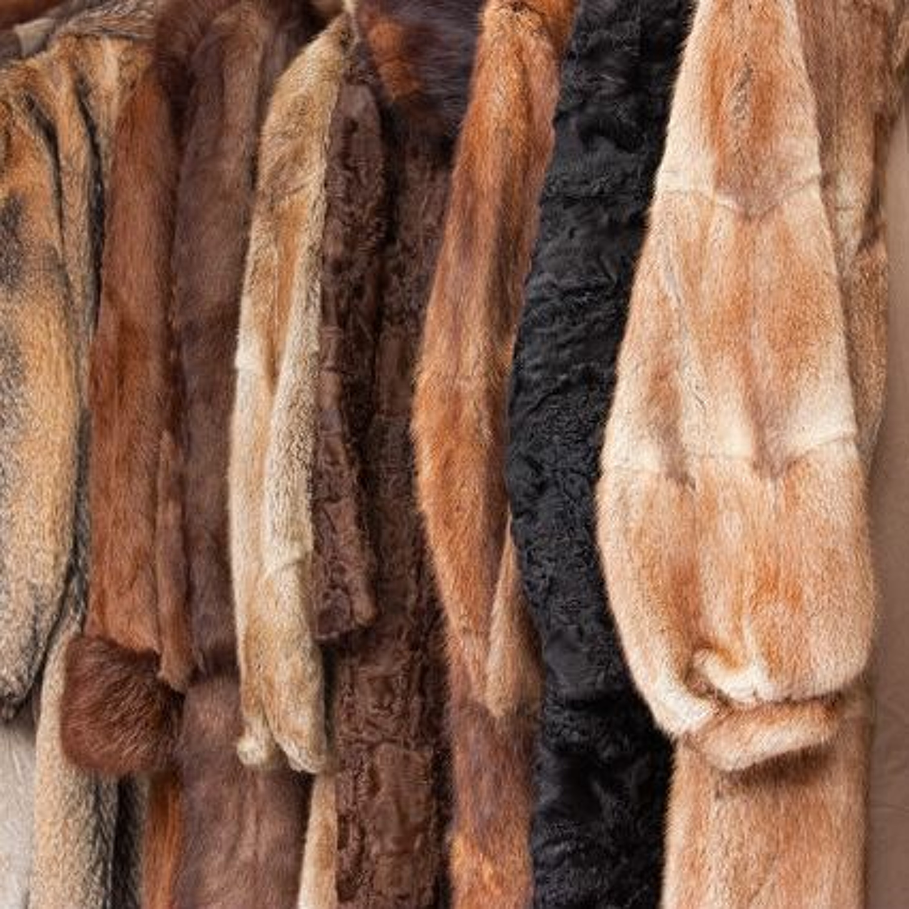 Fur Coats episode artwork
