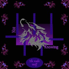 Not Knowing