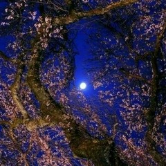 Too Young To Know w/Jussi Welin on guitar