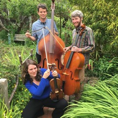 Bowlicks - Pining For Clifftop 6 - 9-18