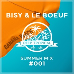 DeepTropicalHouse Summer Mix #001 (By Bisy & Le Boeuf)