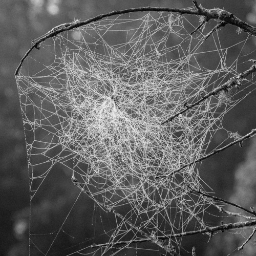 E5 - Decentralization vs Centralization: A 21st Century Dialectic ft. Jon Connors