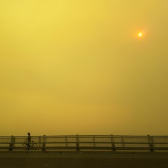 finn & barnes blvd. - accusations against return