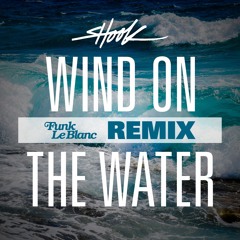 Shook - Wind On The Water (Funk LeBlanc Remix)