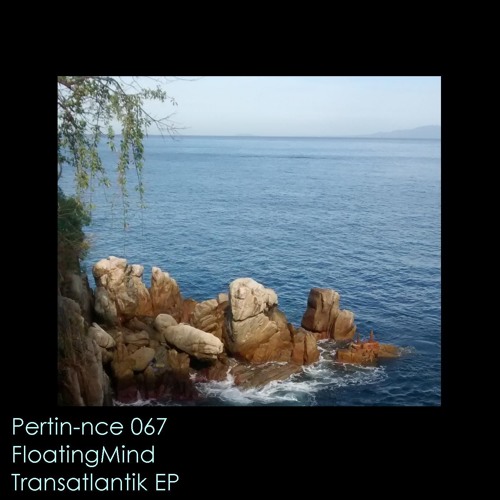 FloatingMind - Navigation (Bleupulp rmx)