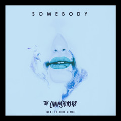 The Chainsmokers, Drew Love - Somebody (Next To Blue Remix)
