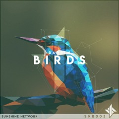 Darren - Birds (Sunshine Network Release)