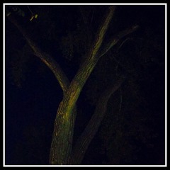 I Met The Devil In Miami (XXXTentacion Lofi REMIX)