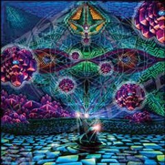 Shpongle - Divine Moments Of Truth (Astrix Loud  L.S.D 3D Audio Remix)