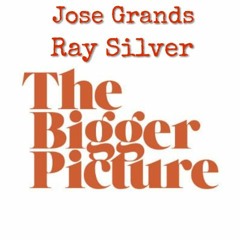 The Bigger Picture Feat Ray Silver Prod. By Blu Majik