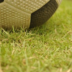 Down the Flank - World Cup Matchday 1 Recap (Episode 2)