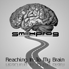 SMIIKPROG - REACHING IN MY BRAIN ( ORIGINAL MIX ) FREE DOWNLOAD