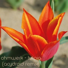 ohmwerk - tulipia [acydroid remix]