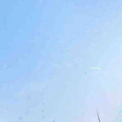 Manila Killa ft. Nevve - Everyday, Everyday (Gynryo Bootleg Remix)