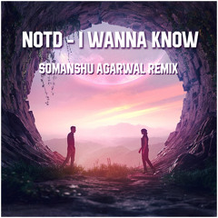 NOTD feat. Bea Miller - I Wanna Know - somanshu