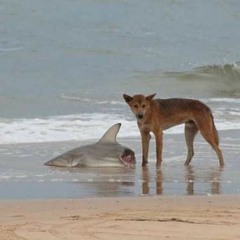 EveryBodyWanaDie (rip XXX freestyle)