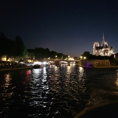 An evening on the seine