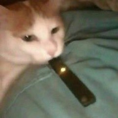 Nathan And Morgan Disstrack