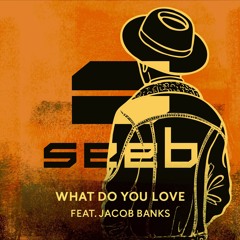 Seeb - What Do You Love Ft. Jacob Banks