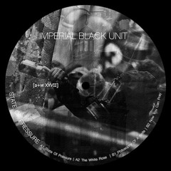 Imperial Black Unit - Now You Can Pray [a+w XXVII]
