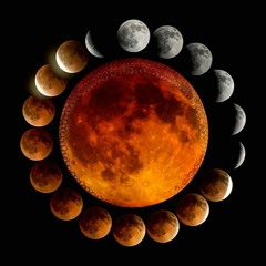 miraz erbane topluluğu - gel gönül