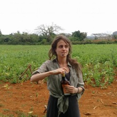 Vague à l'âme sous les tropiques - Inès Desorages