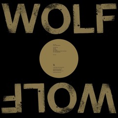 Premiere: Mr. Fries - Getright [Wolf Music]