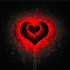 Bridgette - Norfside Apollo