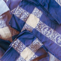 Drowned Venice Pigeon