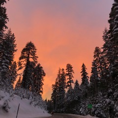 Orange Light