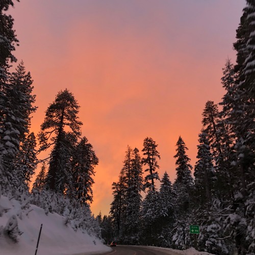 Orange Light