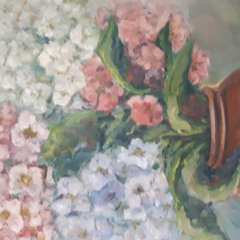 المرايا  ( المناعه الذاتيه القويه ) رودينا ياسين