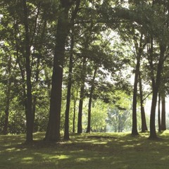 Le tour de l’île Perry et du parc de la Merci