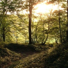 ｎａｔｕｒｅ ｃａｌｌｉｎｇ