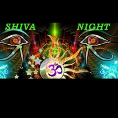Detective T @Shiva Night Festival 2013 in Kasol, Parvati Valley ψ India [130 - 145bpm] incl. intro