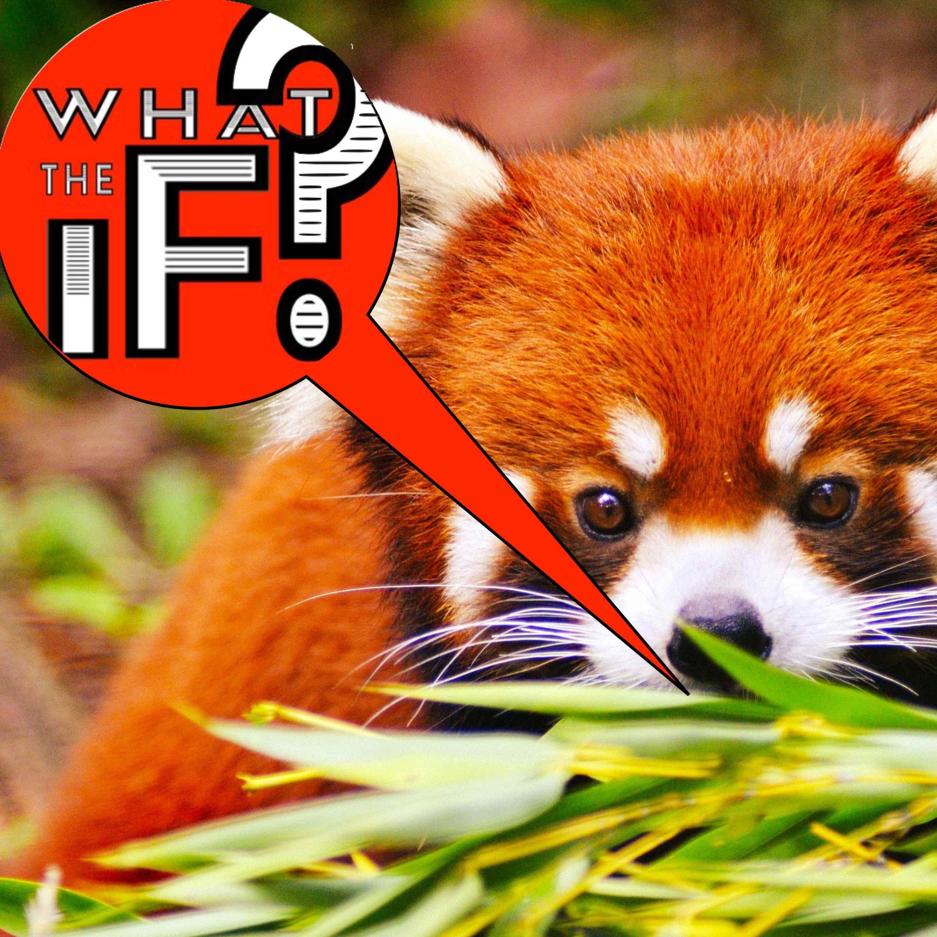 What The If?