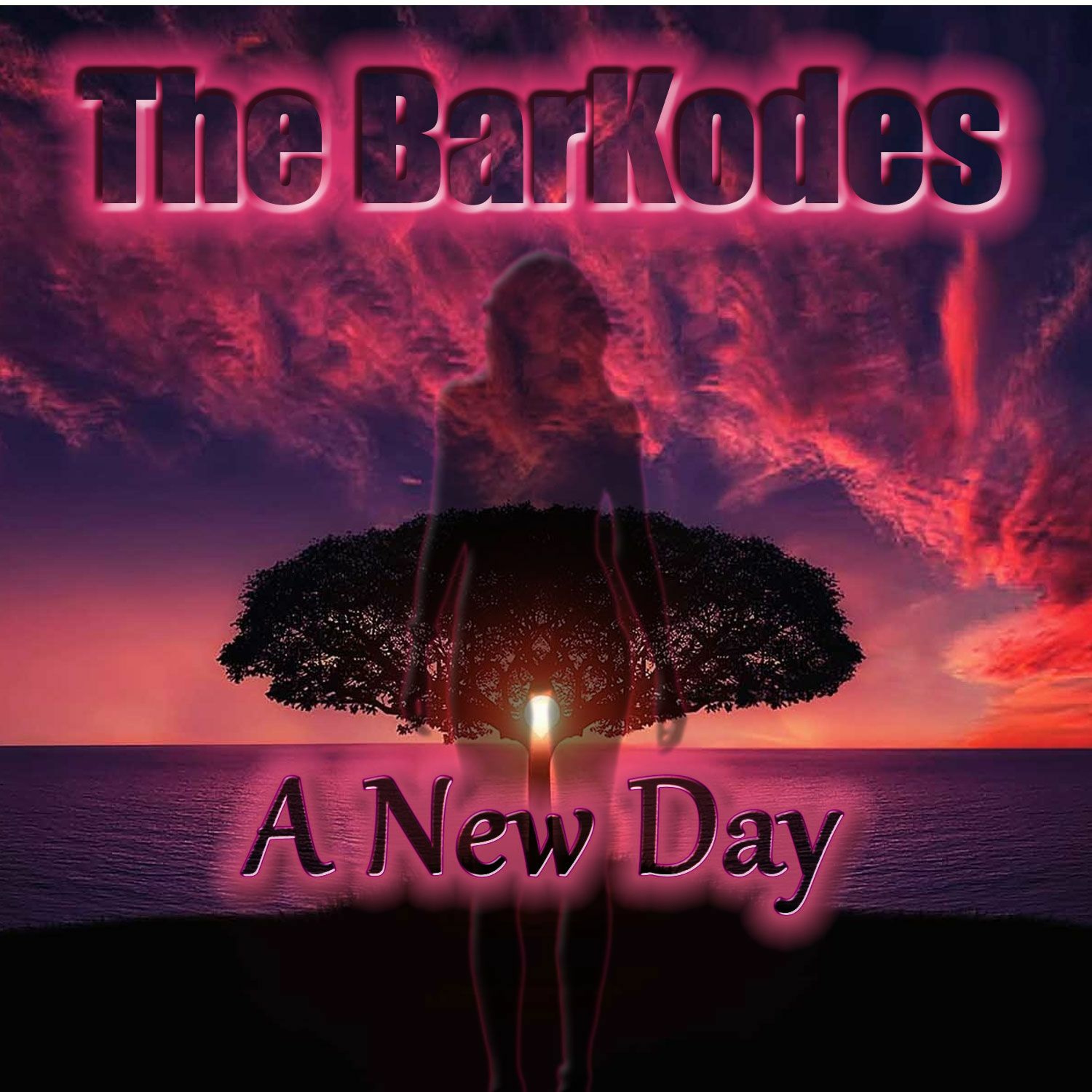 The BarKodes Radio