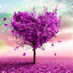 Meditação para Perdão